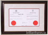 Law Society of Upper Canada Matted Court Certificate Frame