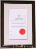 Law Society of Upper Canada Matted Notary Public Frame